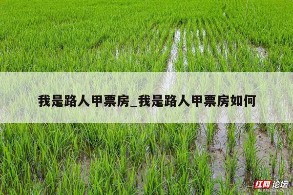 我是路人甲票房_我是路人甲票房如何