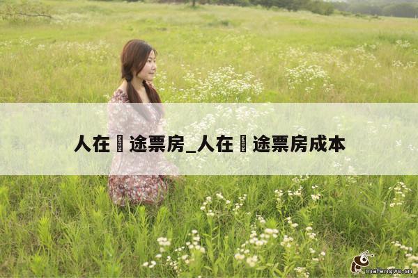人在囧途票房_人在囧途票房成本