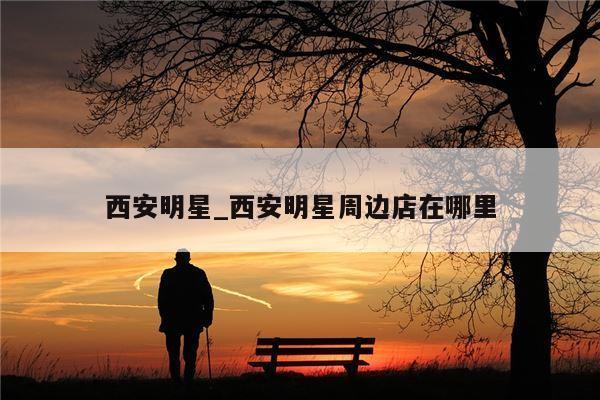 西安明星_西安明星周边店在哪里