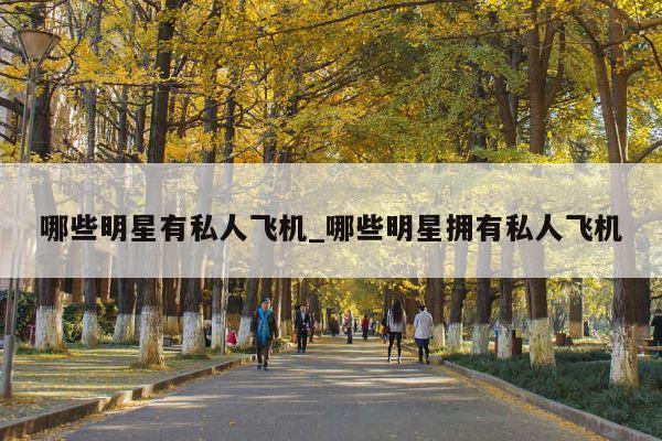 哪些明星有私人飞机_哪些明星拥有私人飞机