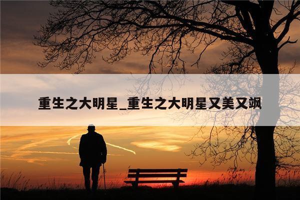 重生之大明星_重生之大明星又美又飒