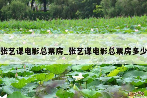 张艺谋电影总票房_张艺谋电影总票房多少