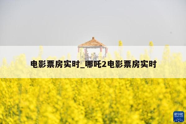电影票房实时_哪吒2电影票房实时