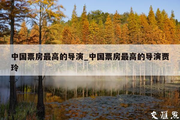 中国票房最高的导演_中国票房最高的导演贾玲