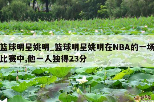 篮球明星姚明_篮球明星姚明在NBA的一场比赛中,他一人独得23分