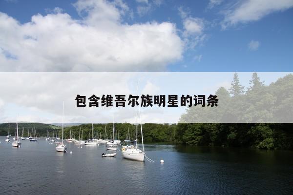 包含维吾尔族明星的词条