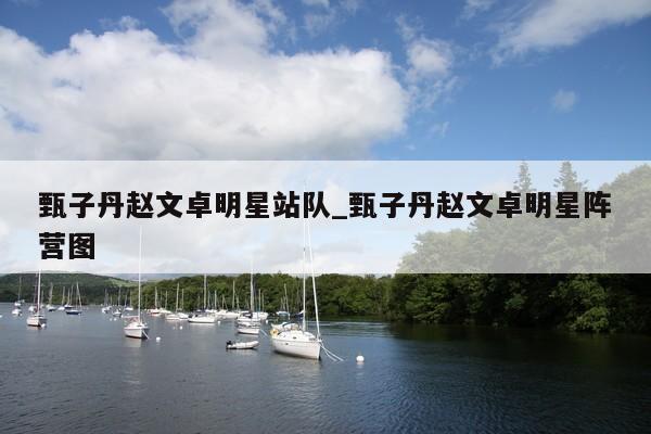 甄子丹赵文卓明星站队_甄子丹赵文卓明星阵营图