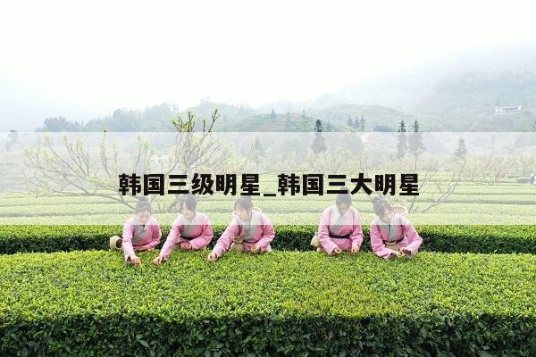 韩国三级明星_韩国三大明星