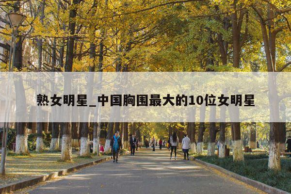 熟女明星_中国胸围最大的10位女明星