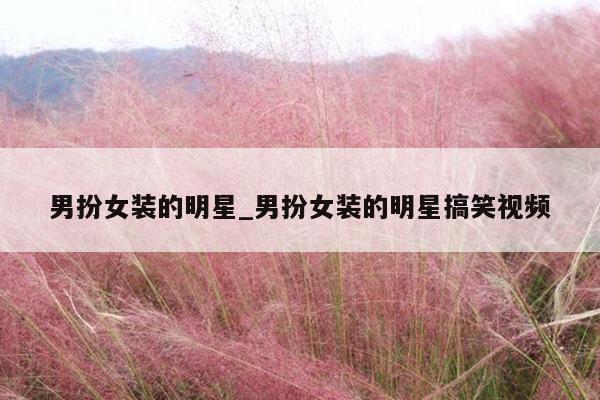 男扮女装的明星_男扮女装的明星搞笑视频