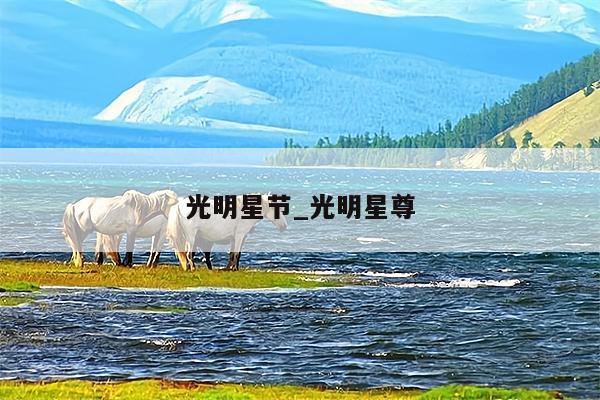 光明星节_光明星尊