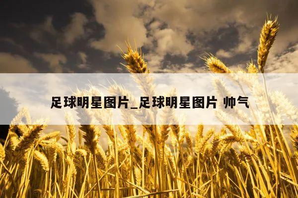 足球明星图片_足球明星图片 帅气