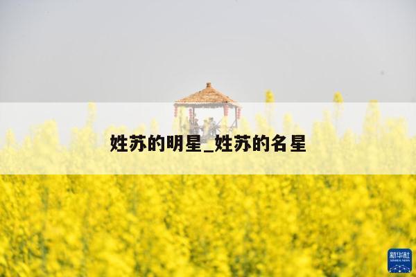 姓苏的明星_姓苏的名星
