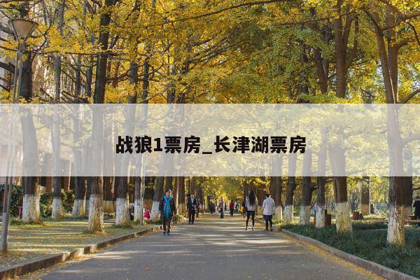 战狼1票房_长津湖票房