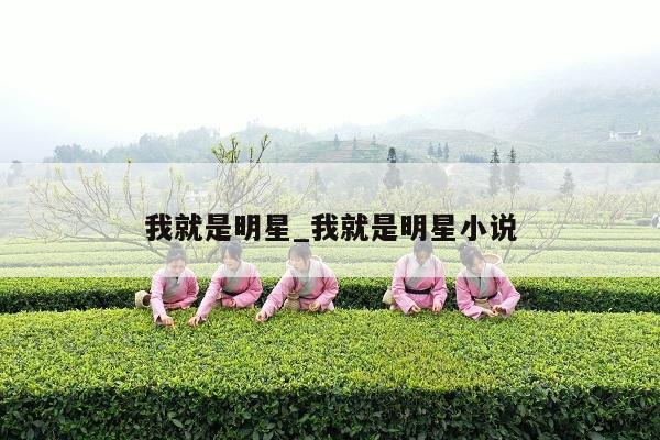 我就是明星_我就是明星小说