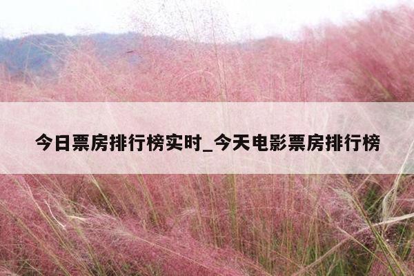 今日票房排行榜实时_今天电影票房排行榜