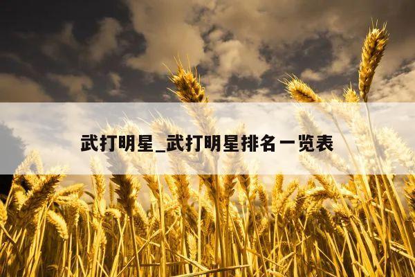 武打明星_武打明星排名一览表