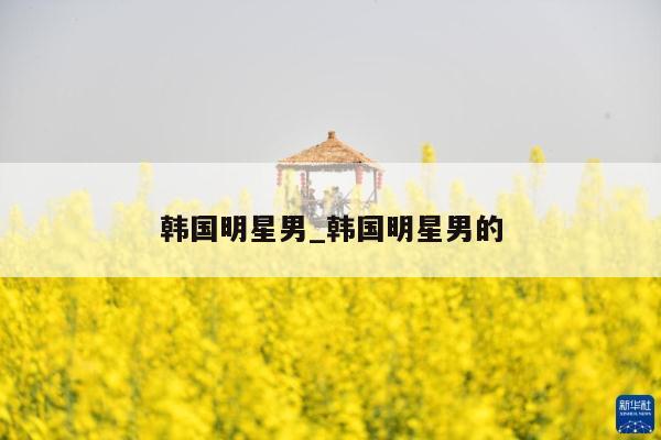 韩国明星男_韩国明星男的