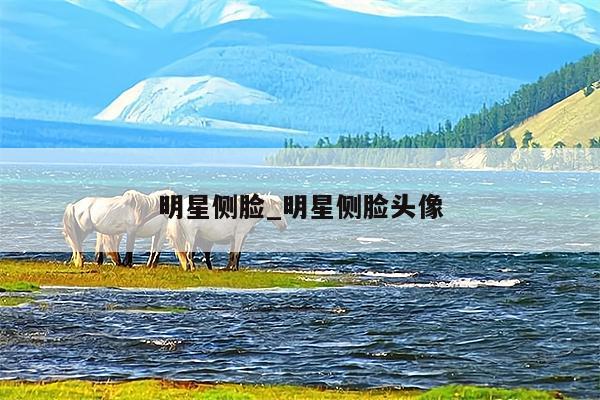明星侧脸_明星侧脸头像