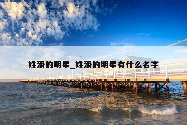 姓潘的明星_姓潘的明星有什么名字