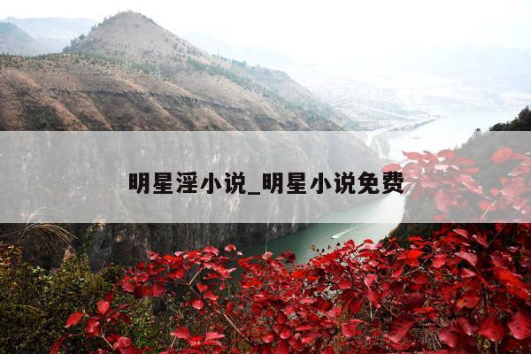 明星淫小说_明星小说免费