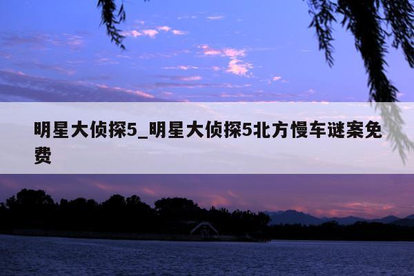明星大侦探5_明星大侦探5北方慢车谜案免费