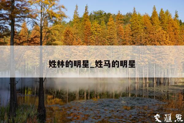 姓林的明星_姓马的明星