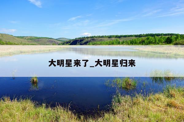 大明星来了_大明星归来