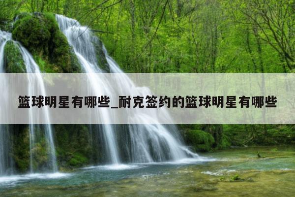 篮球明星有哪些_耐克签约的篮球明星有哪些