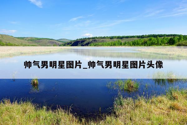 帅气男明星图片_帅气男明星图片头像