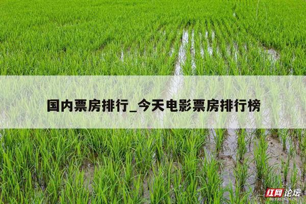 国内票房排行_今天电影票房排行榜
