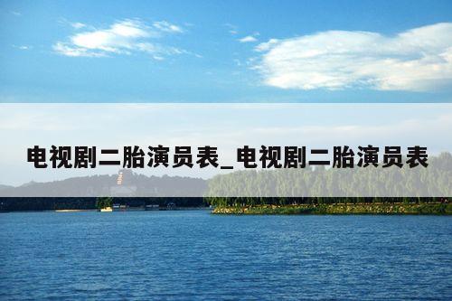 电视剧二胎演员表_电视剧二胎演员表