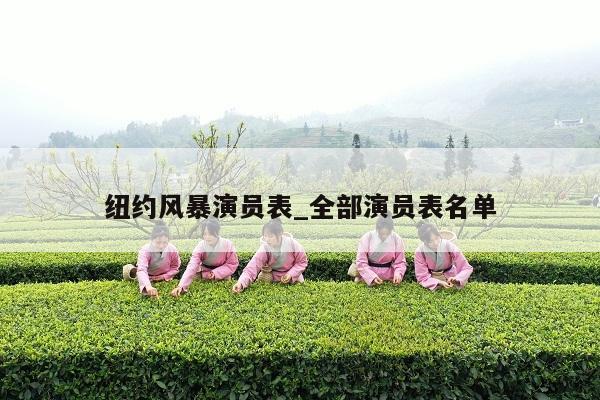 纽约风暴演员表_全部演员表名单