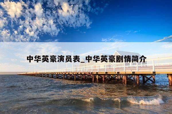 中华英豪演员表_中华英豪剧情简介
