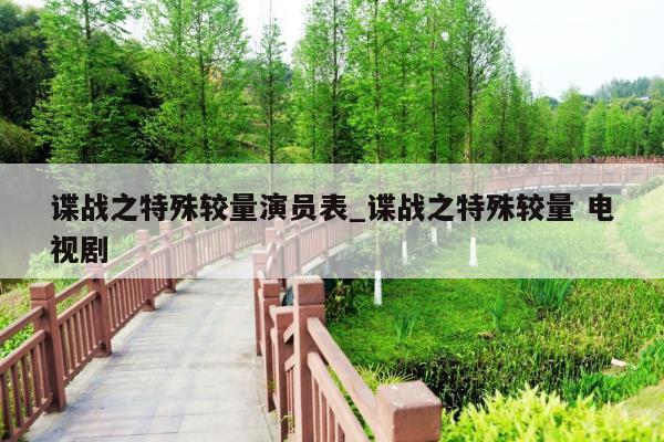 谍战之特殊较量演员表_谍战之特殊较量 电视剧