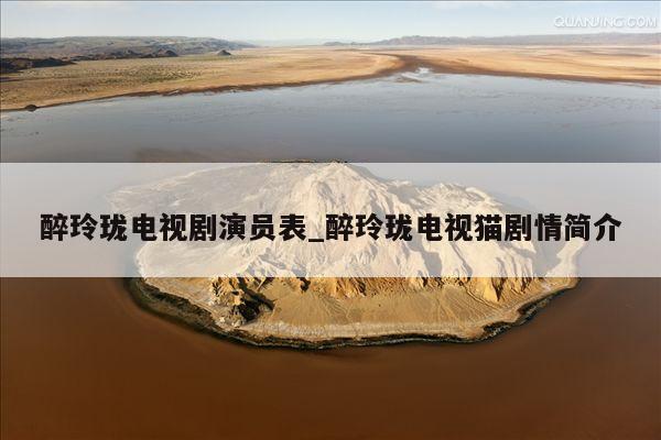醉玲珑电视剧演员表_醉玲珑电视猫剧情简介