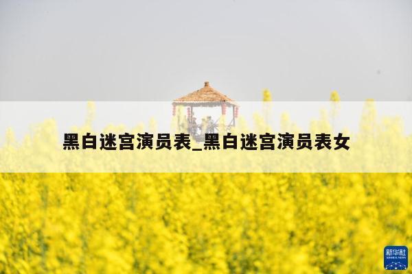 黑白迷宫演员表_黑白迷宫演员表女