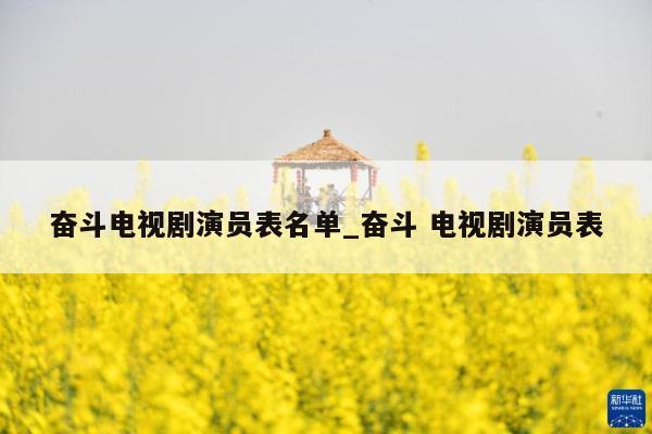 奋斗电视剧演员表名单_奋斗 电视剧演员表