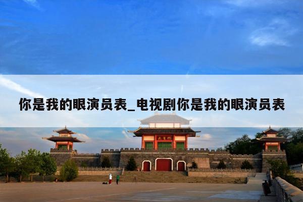 你是我的眼演员表_电视剧你是我的眼演员表