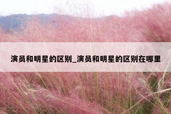 演员和明星的区别_演员和明星的区别在哪里