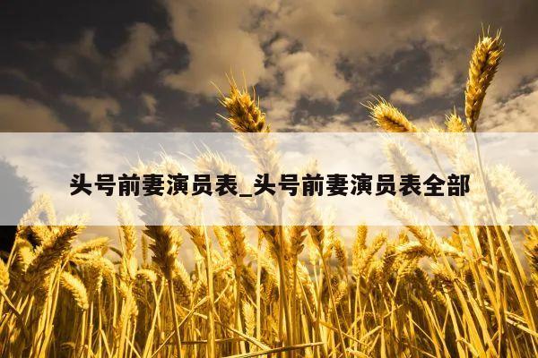 头号前妻演员表_头号前妻演员表全部