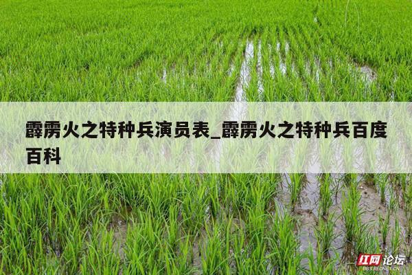 霹雳火之特种兵演员表_霹雳火之特种兵百度百科