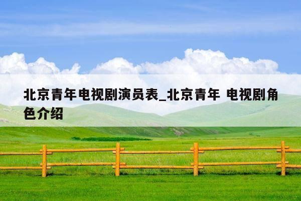 北京青年电视剧演员表_北京青年 电视剧角色介绍