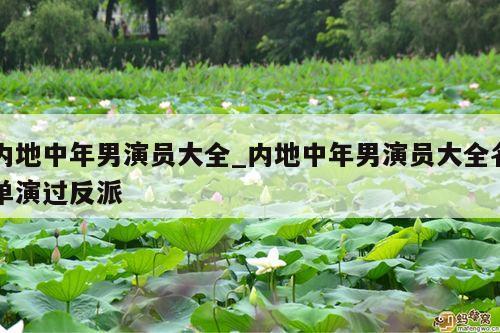 内地中年男演员大全_内地中年男演员大全名单演过反派