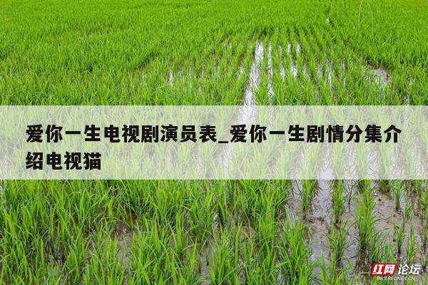 爱你一生电视剧演员表_爱你一生剧情分集介绍电视猫
