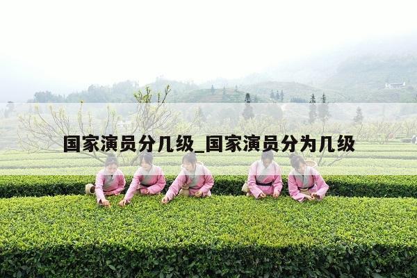 国家演员分几级_国家演员分为几级