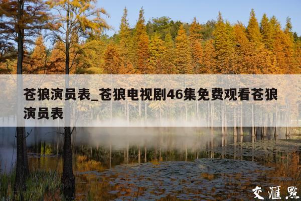 苍狼演员表_苍狼电视剧46集免费观看苍狼演员表