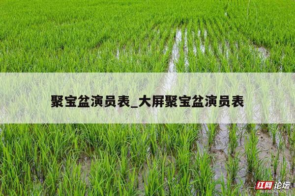 聚宝盆演员表_大屏聚宝盆演员表