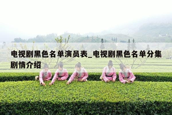 电视剧黑色名单演员表_电视剧黑色名单分集剧情介绍