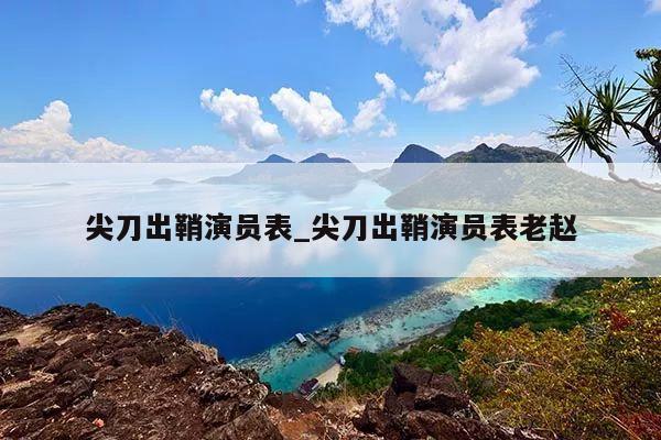 尖刀出鞘演员表_尖刀出鞘演员表老赵